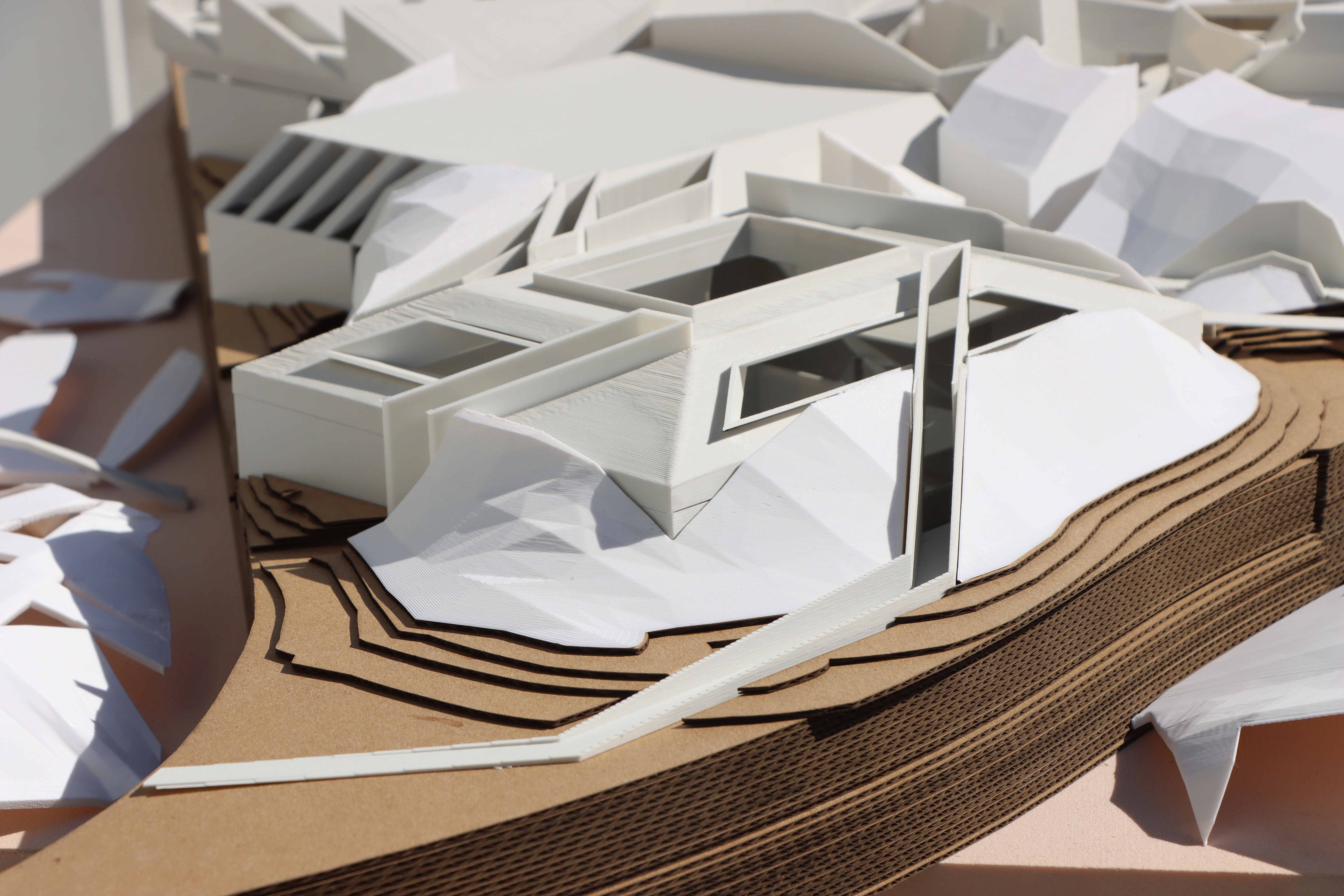 Physical - Sports Arena